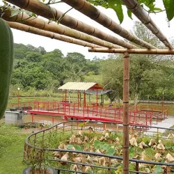 12602_Sitio-Nakahara-3