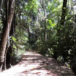 BIOPARQUE - FOTO SITE PREFEITURA