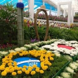 Imagem4