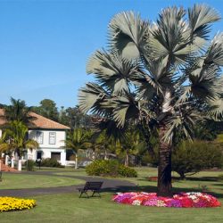 Jardim-Botanico-Plantarum-03