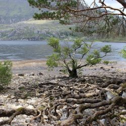 LAGO NESS 2