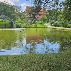PAISAGEM