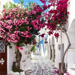 PAROS