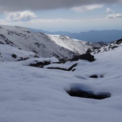 POTRERILLOS