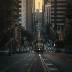 SAN FRANCISCO BONDE