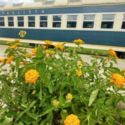 WhatsApp Image 2026-01-08 at 10.21.13 (1)