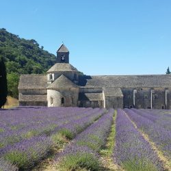 abbaye-5199856_1280