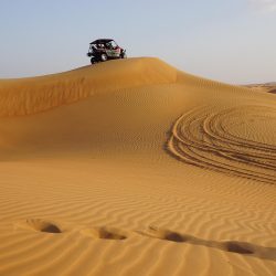 desert-1979000_1280