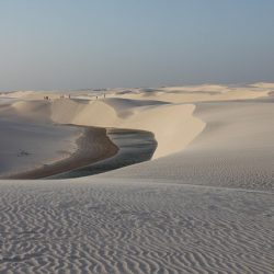 dune-2137336_640