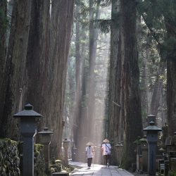 koyasan-temple-7387445_1280