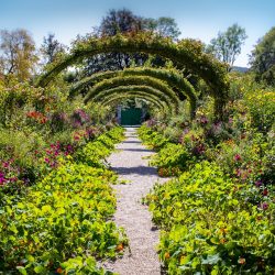 monet-at-giverny-4901340_1280