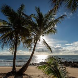 praia aereia vemelha