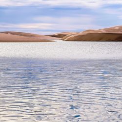 sheet-maranhao-2681145_1280