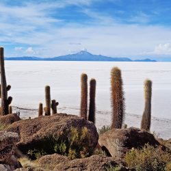 the-salar-de-uyuni-2168218_1280