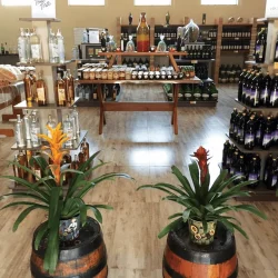 tour-vinhos-6
